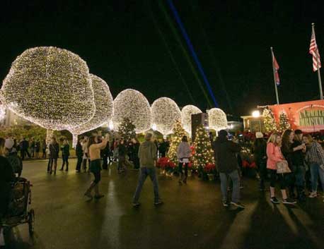 tree lights